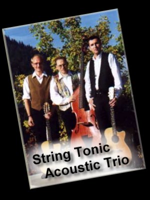 Willkommen bei String Tonic Accoustic Trio
